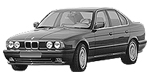 BMW E34 C20A5 Fault Code